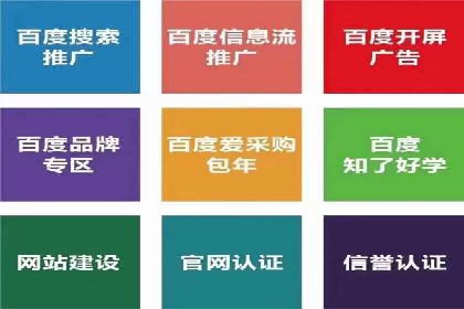 百度广告投放技巧与案例分享